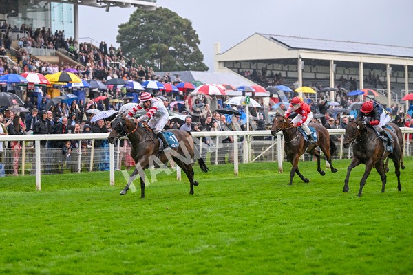 080924-Race 7-Young Fire-9711 - Race 7 5.10pm Elevator Company Amateur Jockeys' Handicap