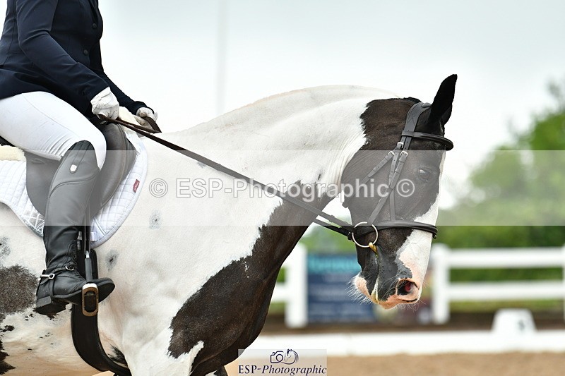 230708A-141210-03382 - Prelim 14