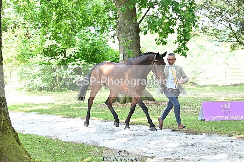 250521A-151551-00381 - B-355-Andrew.James-PRIMITIVE.PROPOSITION