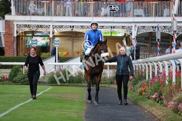 yr22072022r7-37 - Race 7 8.25pm The Sky Bet Go-Racing-In-Yorkshire Summer Festival Stakes