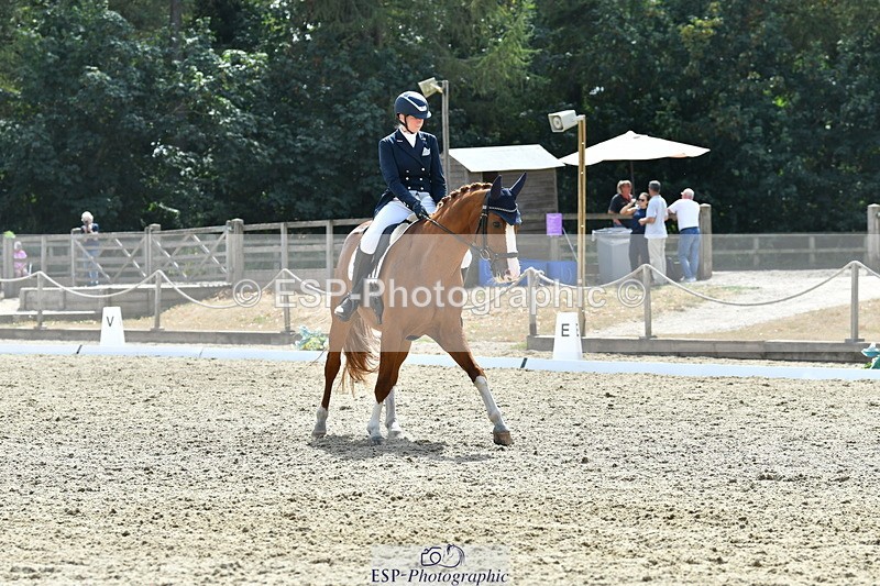 260802A-151756-07352 - Intermediate Bronze