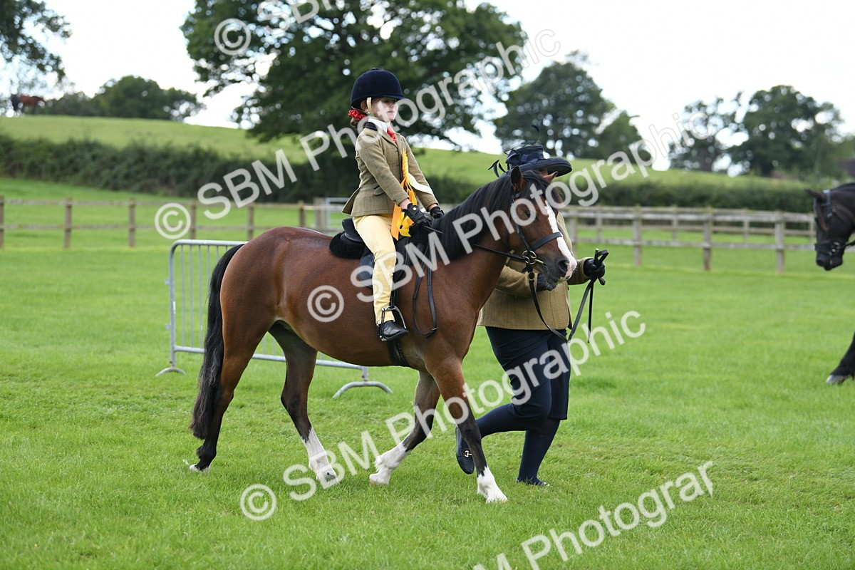 SBM_42719 - S20 - Lead Rein Mountain & Moorland Pony