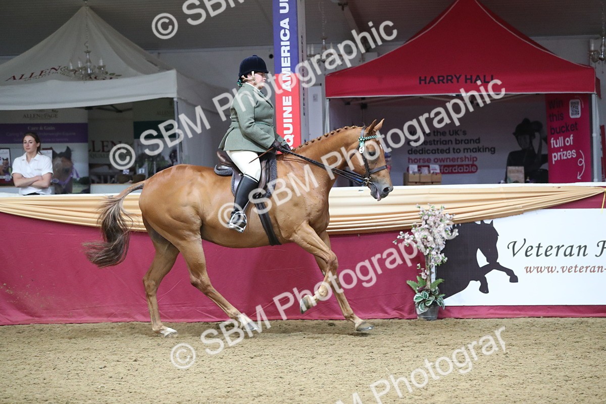 SBM_12327 - Class 108 Ridden Retired Racehorse- Pre Judging