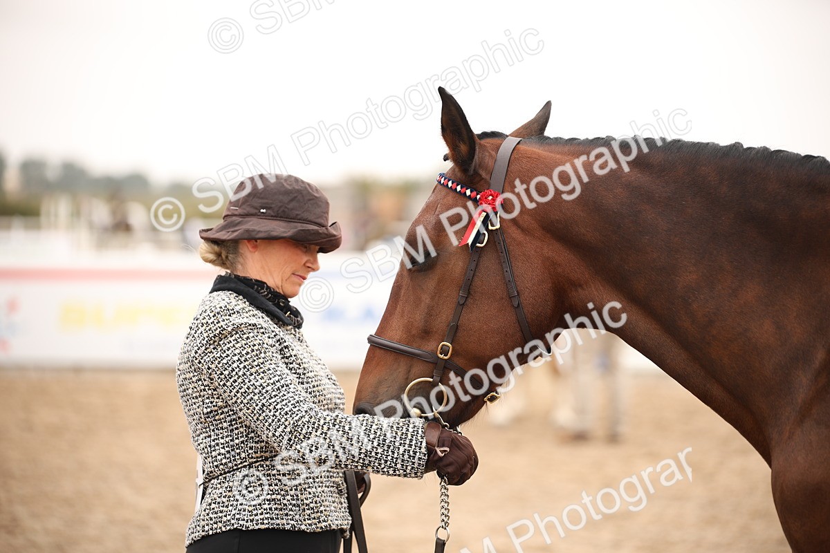 SBM_22134 - Class 707 - Ridden Groom-Helpers Class