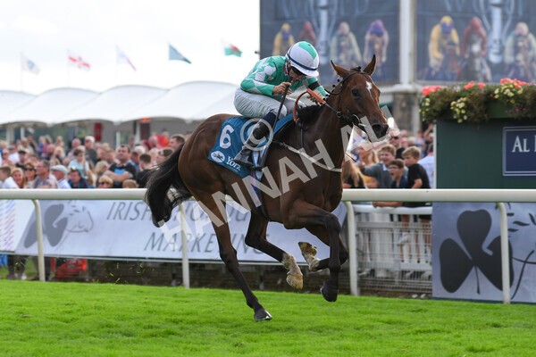 yr04092022r6-42 - Race 6 4.40pm Hanson Springs Stakes
