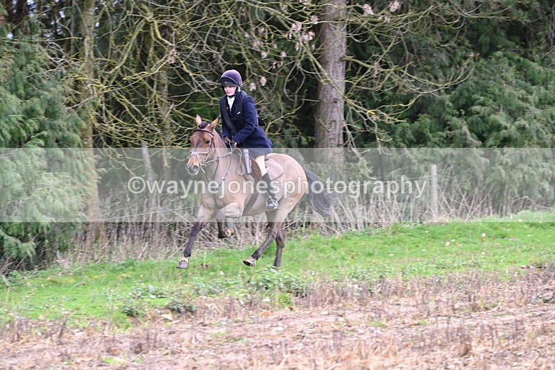 WJ6_9531 - Line Four