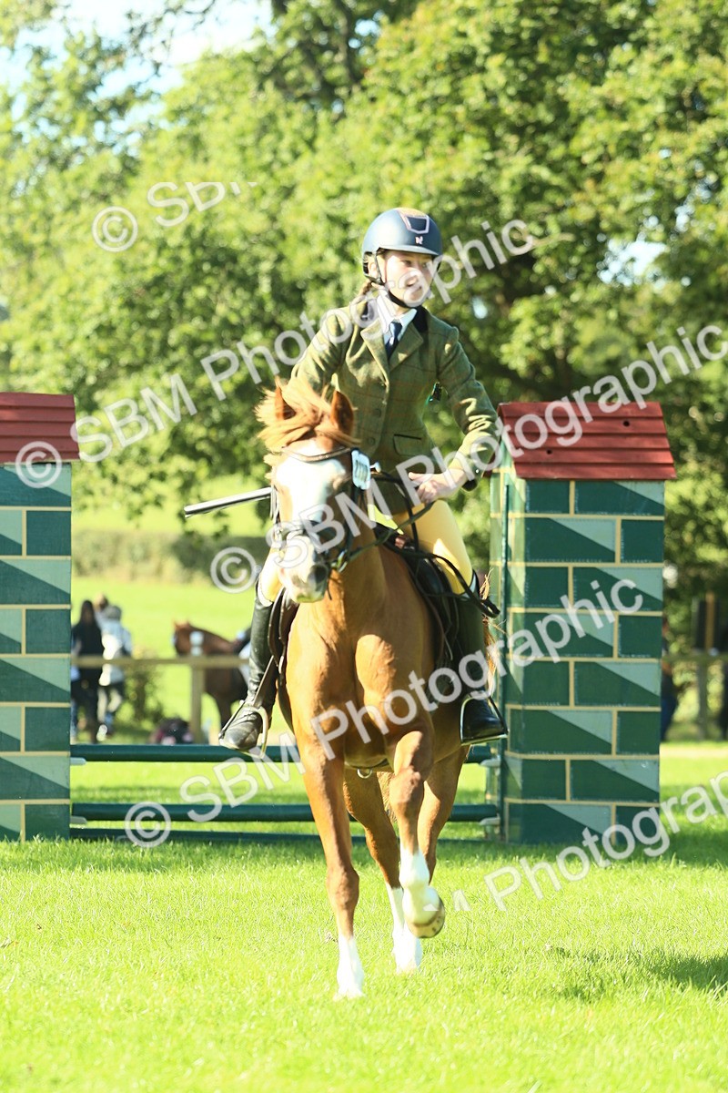 SBM_37455 - S29 - Novice & Newcomers Working Hunter Pony