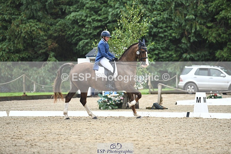 240720-143547-05704 - 142-Amberley_Pugsley-Hero_A