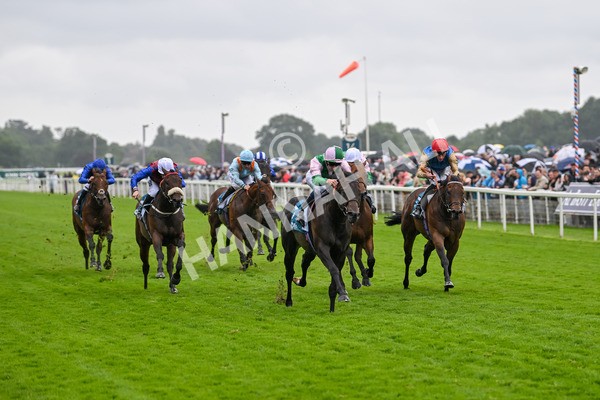 130724-Race 2-Starlust-7066 - Race 2 2.35pm John Smith's City Walls Stakes