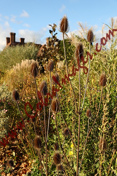 13 - Great Dixter, early November 2020