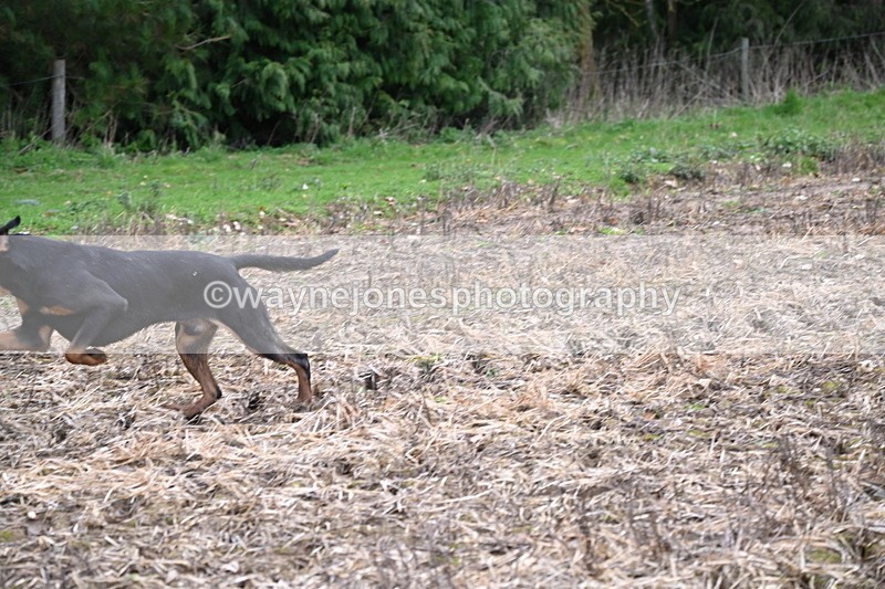 WJ6_9541 - Line Four