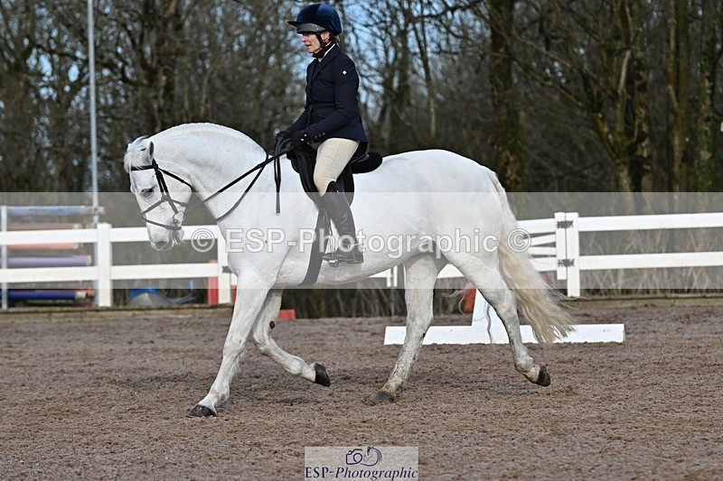 250125-112516-00343 - Dressage - CT Class 5 BE95 (90cm)