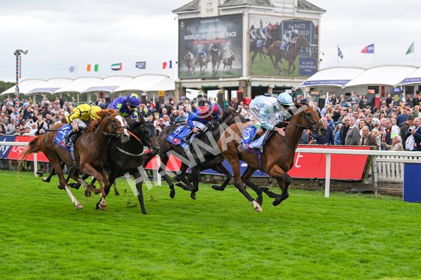 200825-Race 3-Pride Of Arras-1490 - Race 3 3.00pm Sky Bet Great Voltigeur Stakes