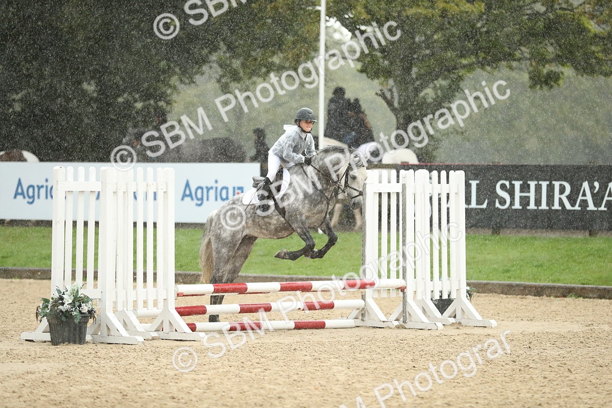 SBM_34299 - J60 Clear Round 50cm