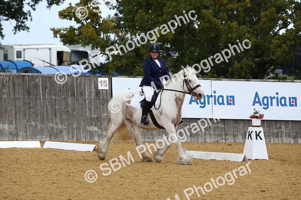 SBM_20865 - D5 - Small Tour Championshop Intro 2