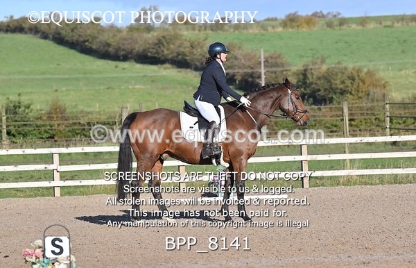 BPP_8141 - SHORT ARENA