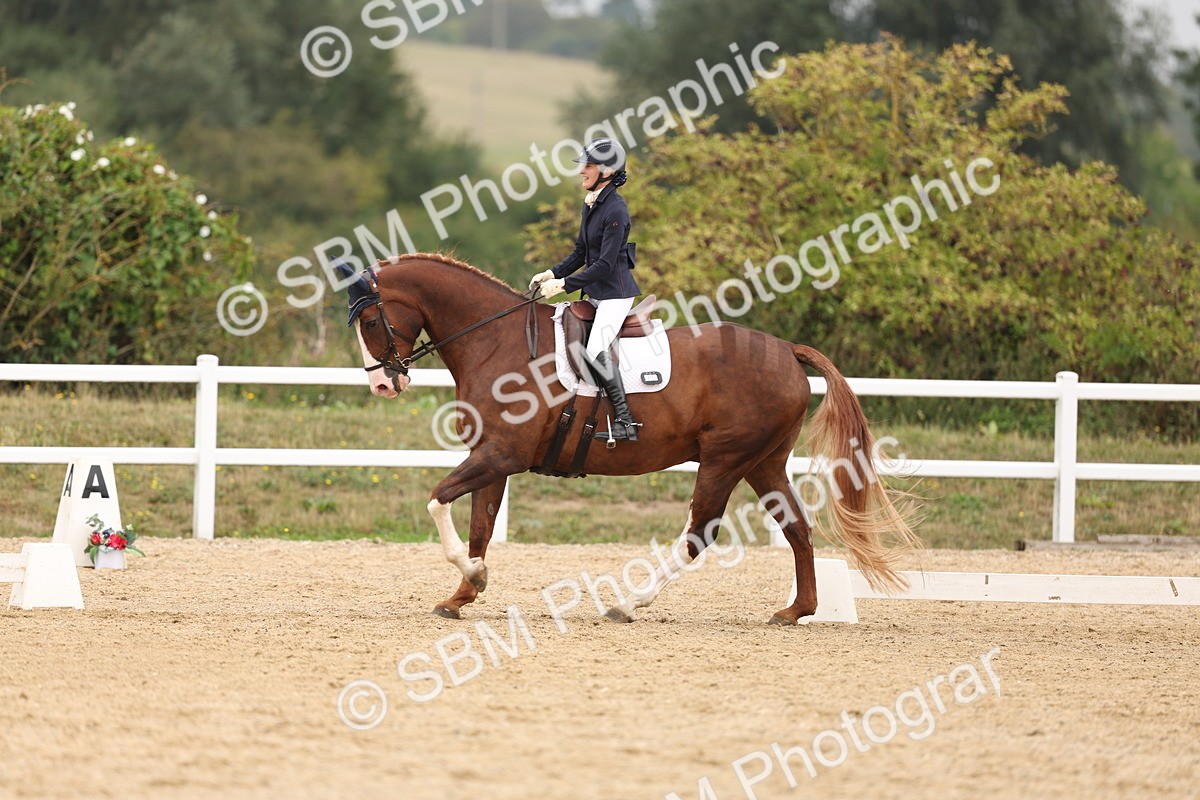 SBM_01645 - Class 9 - Novice 27 Champs