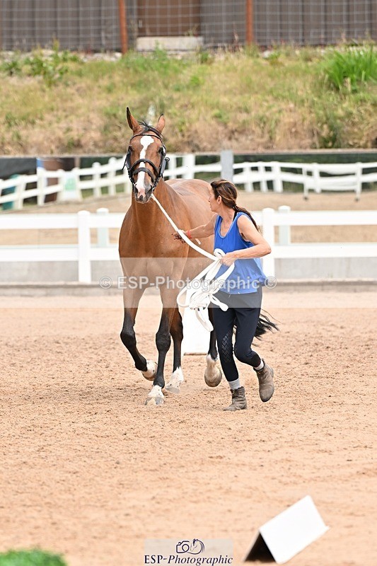 250716-144435-01347 - Trot Up 2.30 to 3.30