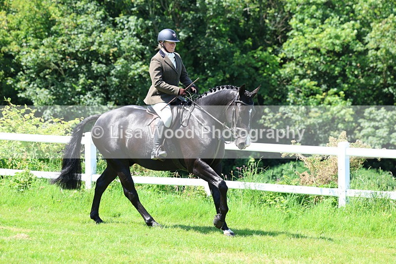 3E7A7175 - Class 30: Novice Working Hunter
