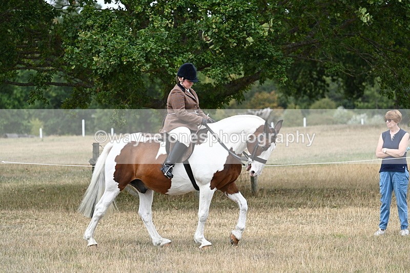 WJ7_4644 - Class 12 Ridden Cob