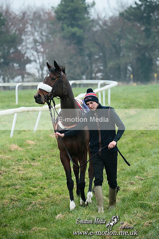 PtP 261123 58 - Hursley Hambledon Point-to-Point Larkhill 26 Nov 2023