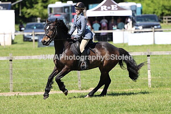 IMG_4018 - Working Hunter