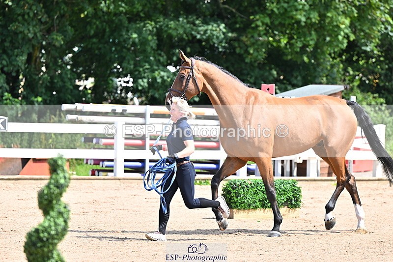 240718A-105237-00936 - Trot Up 11am to 12pm