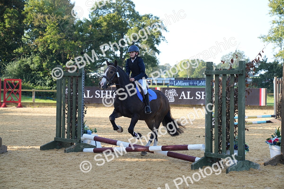 SBM_59065 - J63 - Minis Clear Round 30cm 40cm