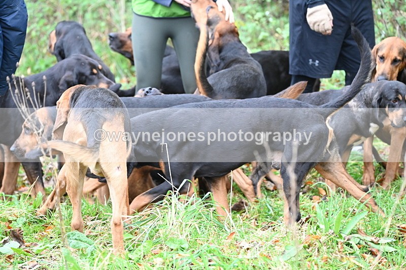 WJ6_8639 - Meet