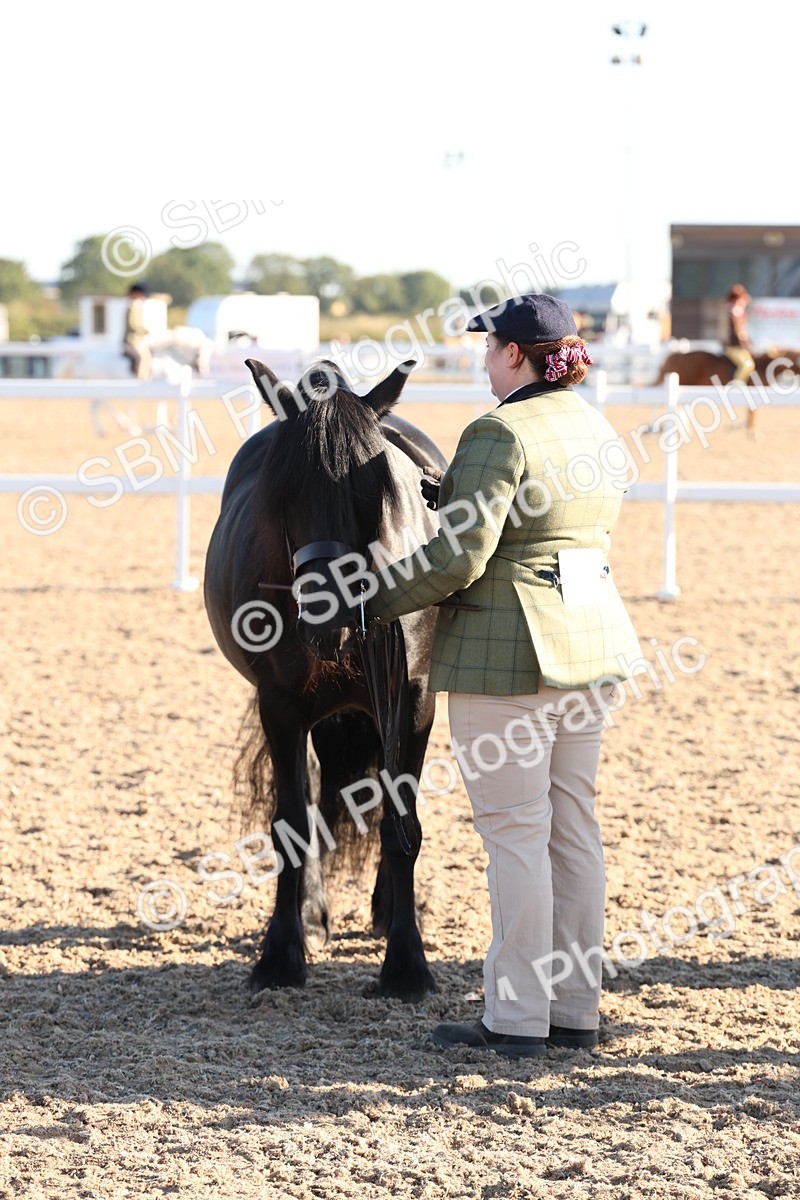 SBM_10768 - Class 201 - Best Turned Out - IH