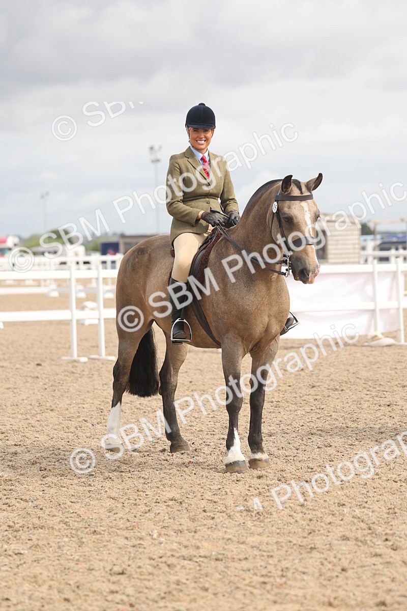 SBM_04545 - Class 19 - Horse/Pony Judge would most like to take home