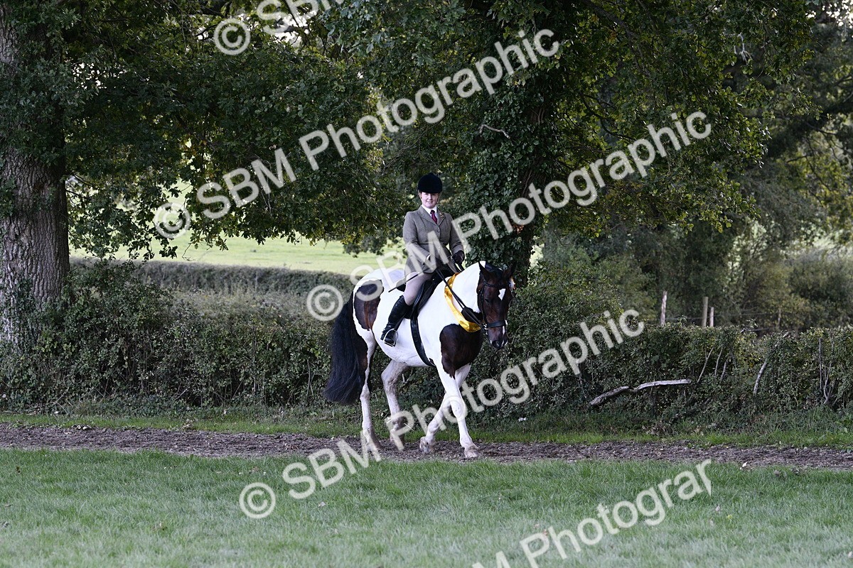 SBM_53642 - S14 - Riding Club Horse