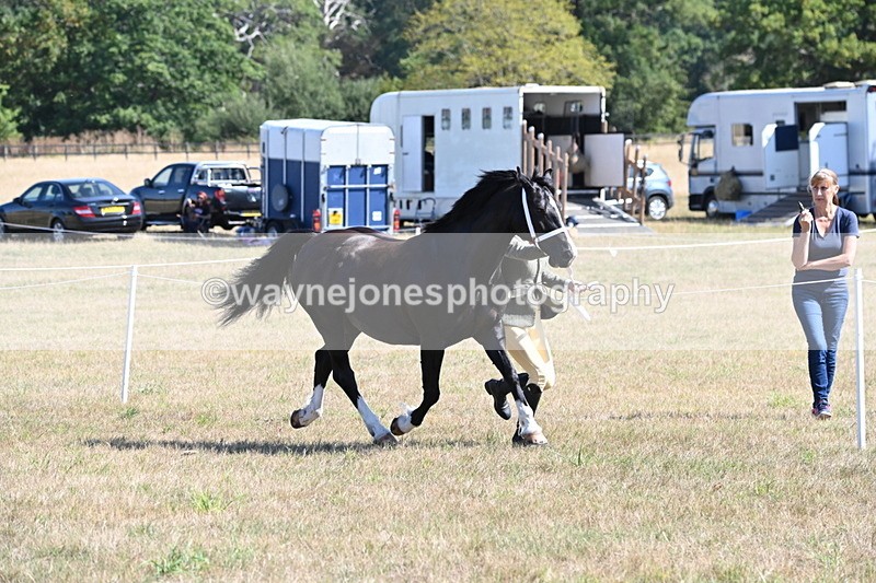 WJ6_4553 - Class 17 Mountain & Moorland