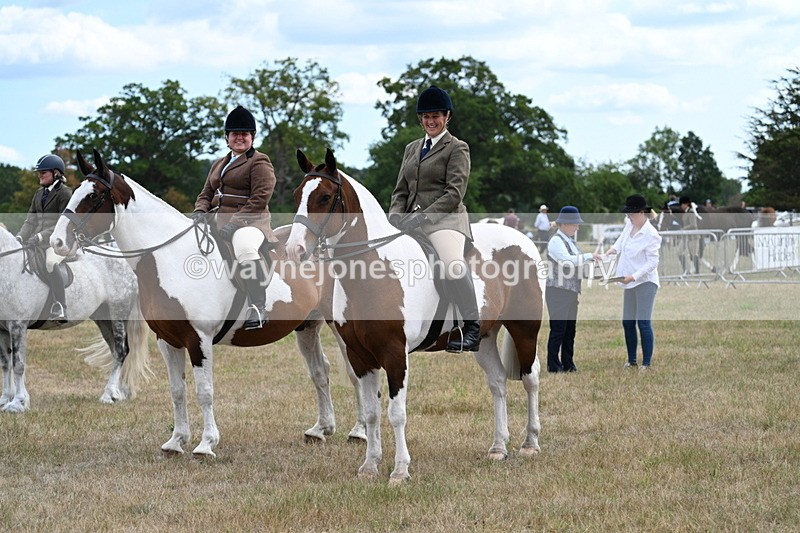 WJ7_5492 - Class 12 Ridden Cob