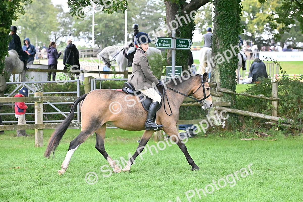 SBM_42945 - S12 - Family Horse & Pony