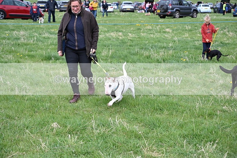WJ6_8116 - Class 2 Best Pedigree