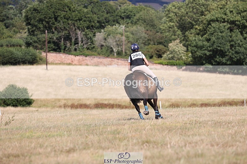 250802A-162140-07528 - F-288-Emilia.Wharton-SIR.LARRY.II