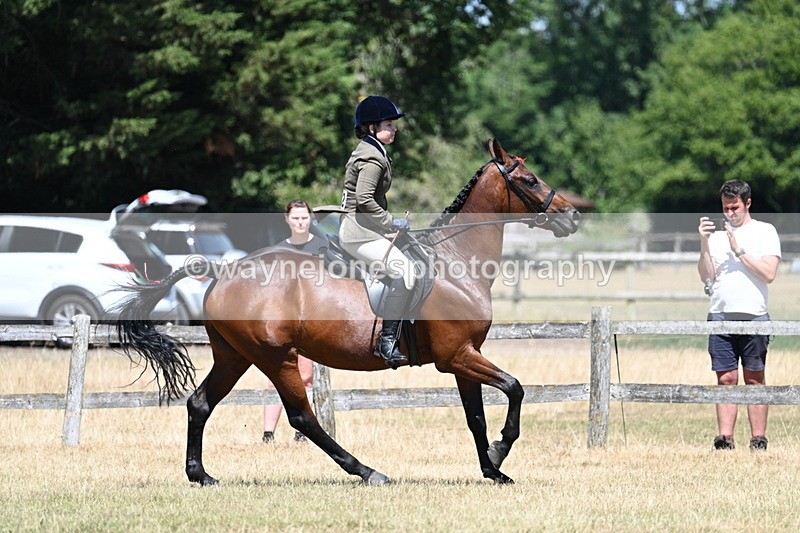 WJ7_3134 - Class 7 Riding Club Show Horse