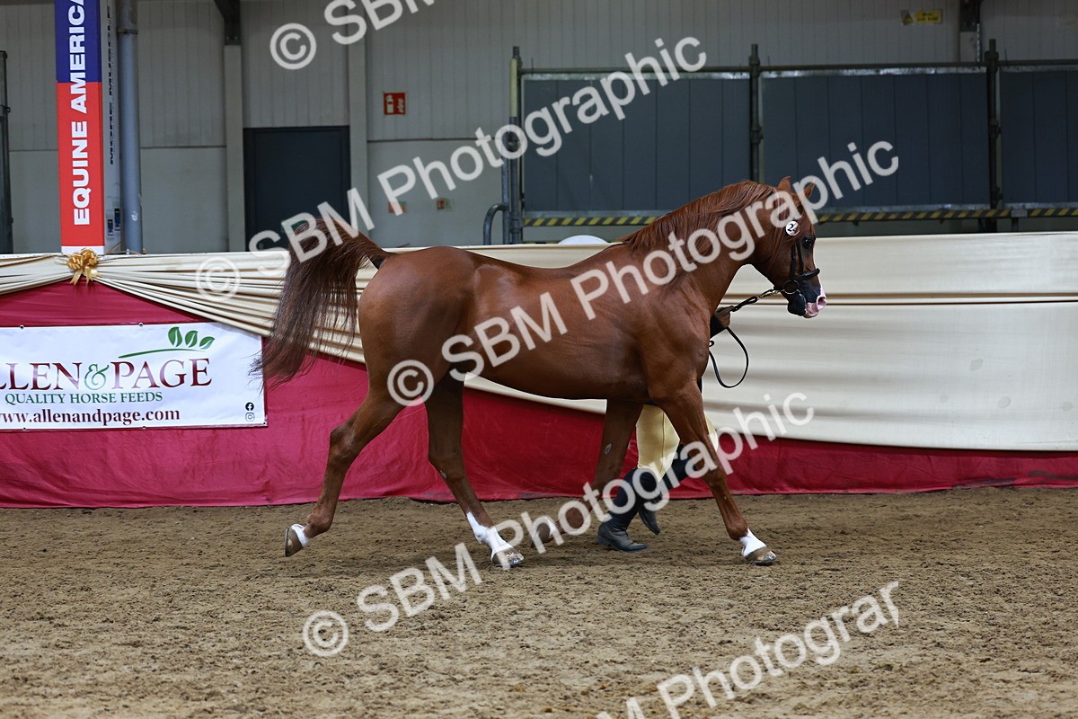 SBM_23022 - Supreme Final - IH  Champ