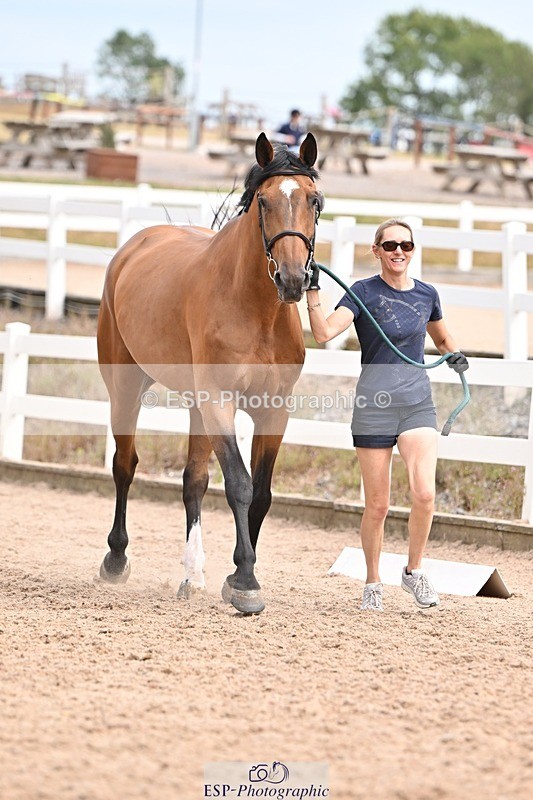 250716-153942-02095 - Trot Up 3.30 to 4.30