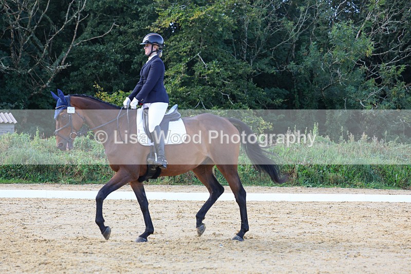 3E7A2521 - Class 1: Intro 4 2024 section A