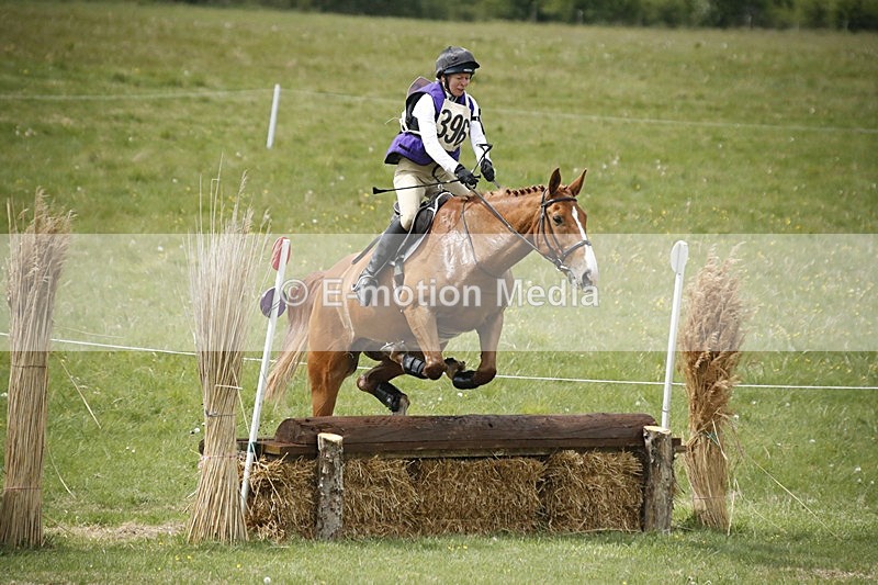 BVHT 140517  NXC -207 - Class 2 XC Novice 14/05/17