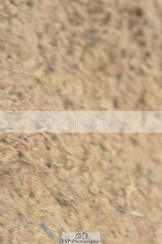 230611A-134232-06177 - Cls 35 1.10m Amateur Qualifier