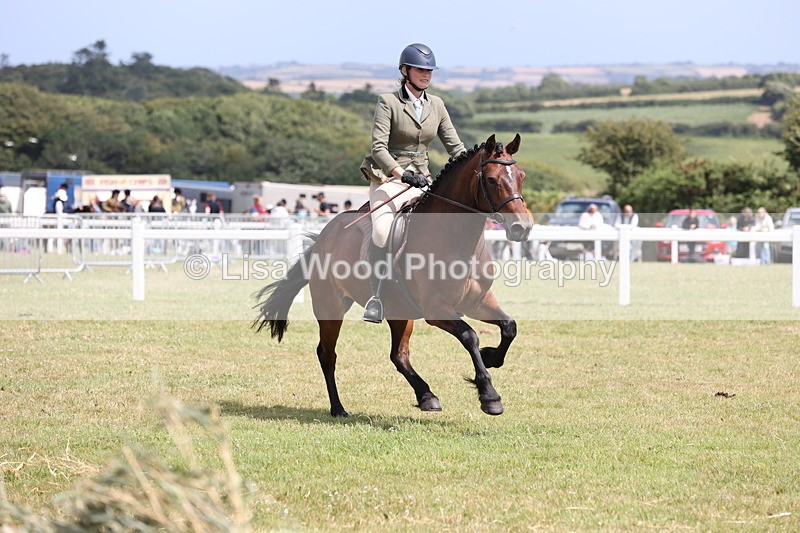 JPP_2051 - Class 19: Working Hunter 60cm