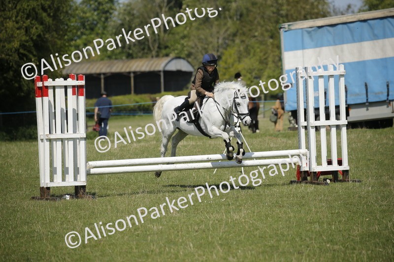 20250427-2207 - Class 13 - Novice Jumping 60cm