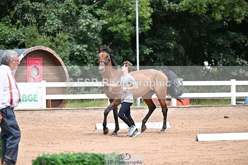 250716-132208-00463 - Trot Up 12.30 to 1.30