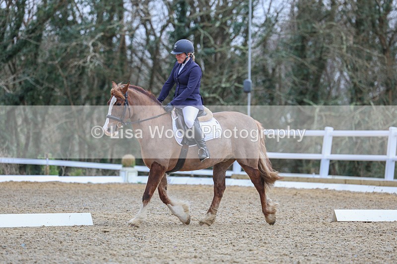 3E7A0703 - Class 4: Prelim 1 2024 Section B