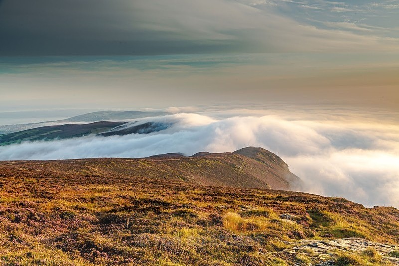 Cnal fog - Latest additions