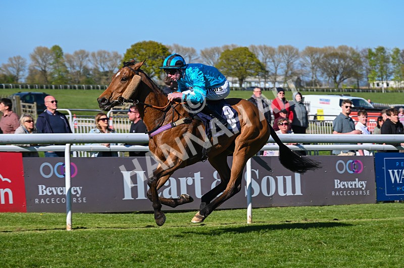 230426-Race 6-Tees George-5266 - Race 6