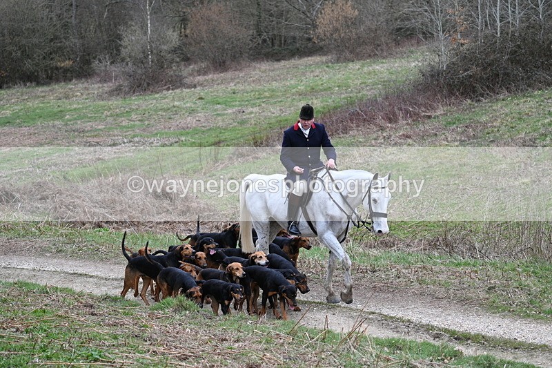 WJ7_7315 - Walk Home